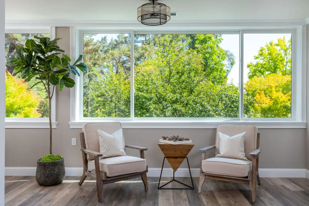Bright East Bay sitting area with large picture windows overlooking lush green trees, featuring two armchairs and a potted fiddle leaf fig.
